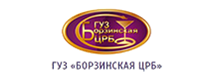 Борзинская ЦРБ